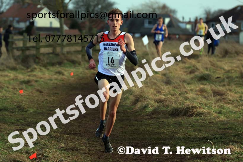 Junior Mens 2024 Northern Cross Country Champs., Sedgefield. Photo: David T. Hewitson/Sports for All Pics